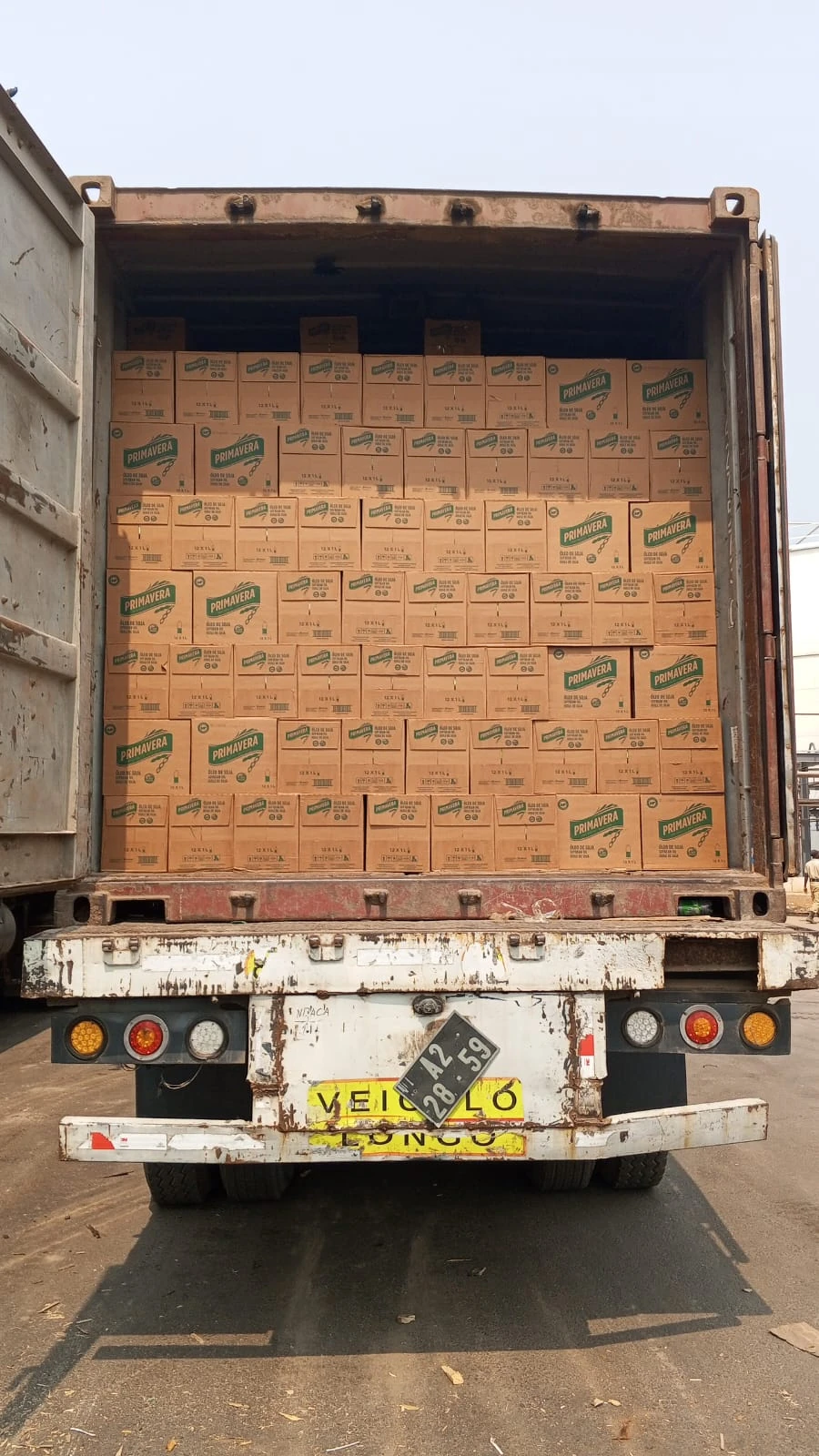Camião contentorizado com mercadorias